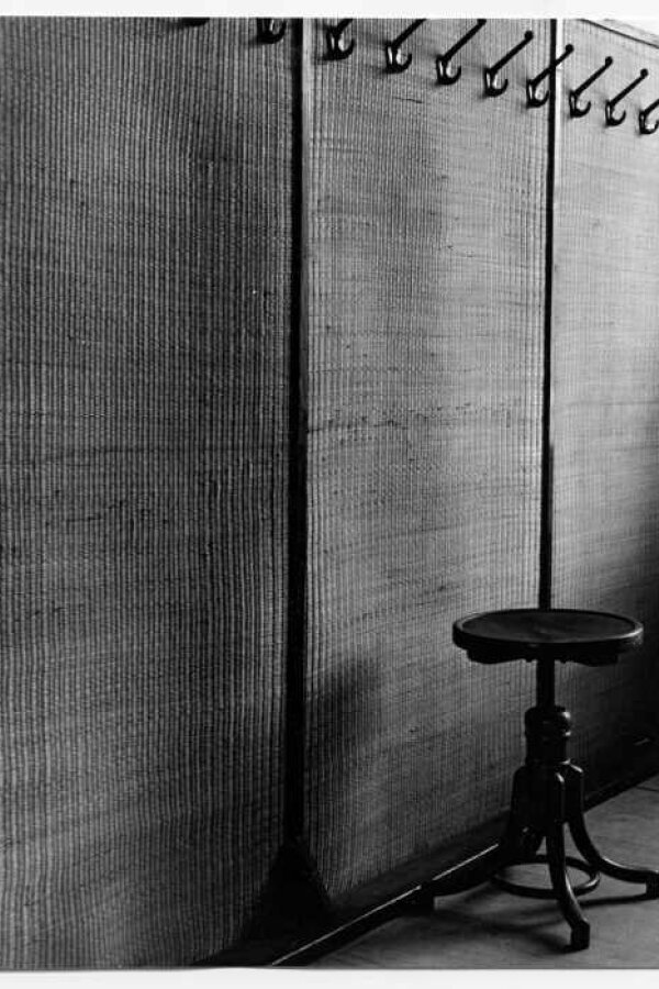 Marie Kratochvílová, z cyklu Botanika. Přírodovědné pracoviště. 1979